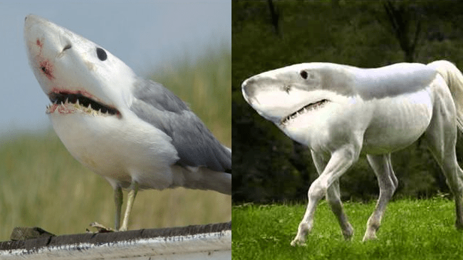 maneater DLC teases 1