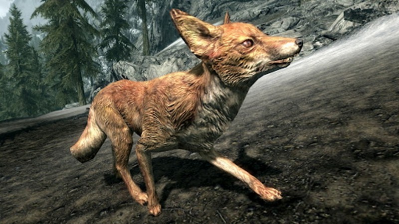 Skyrim Foxes Treasure