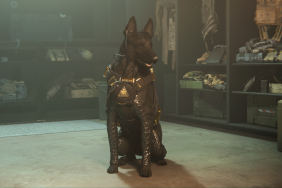 Call of Duty: Modern Warfare II Season 5 Includes Tactical Pets That Execute Foes