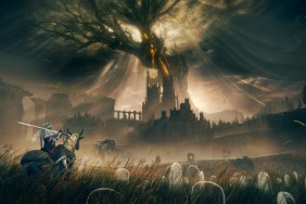 Elden Ring: Shadow of the Erdtree DLC