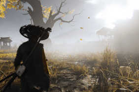 Ghost of Yotei PS5 Pro