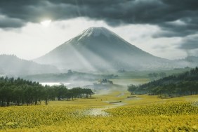 Ghost of Yotei multiplayer