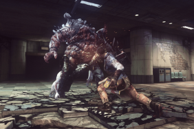 Beloved PlayStation 4 Game Goes Offline Today, But There’s Good News