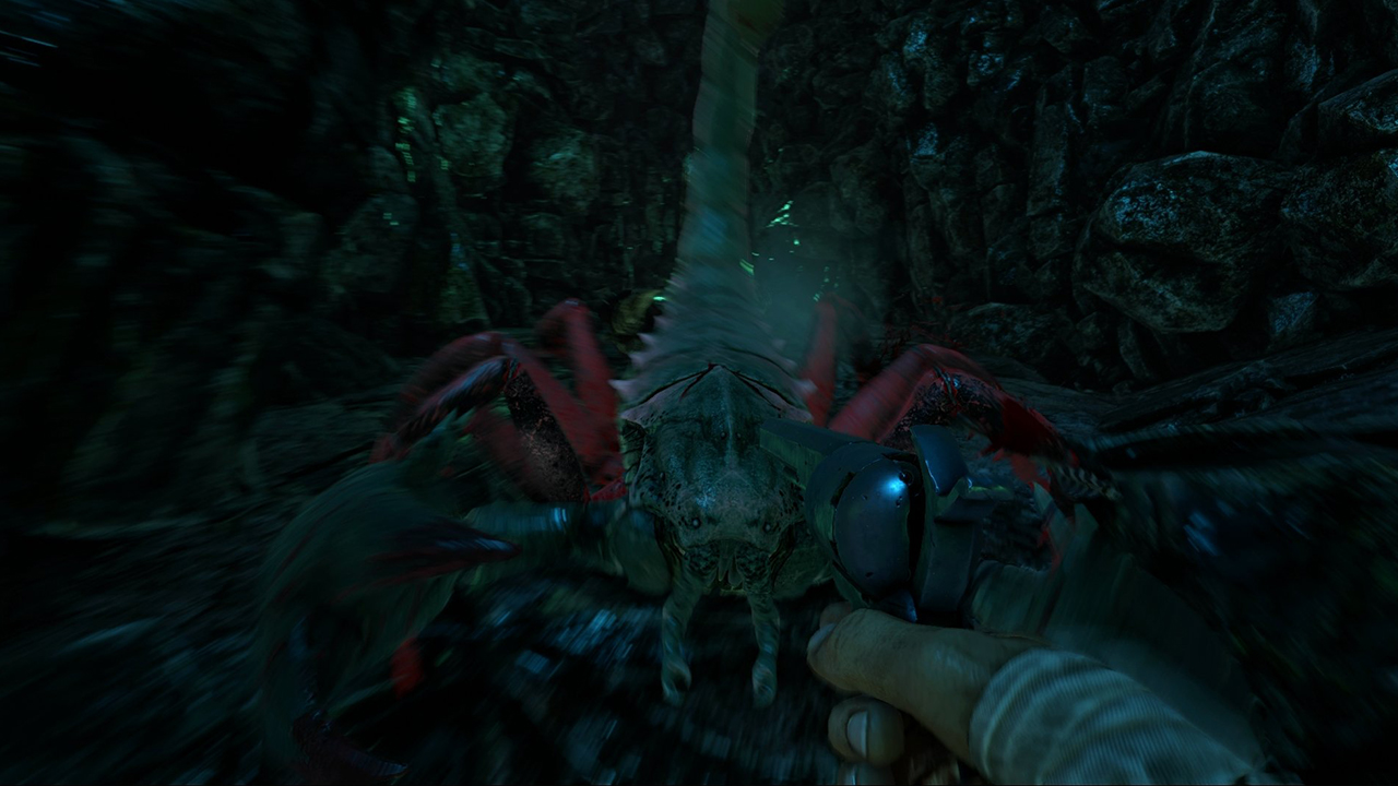 Ark Survival Evolved 16