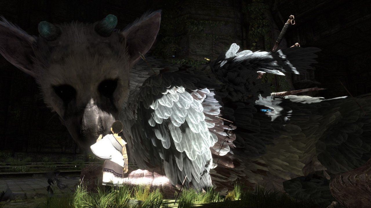 No Further The Last Guardian Announcements