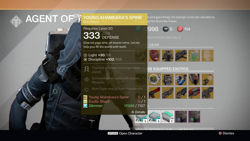 Young Ahamkara's Spine - Hunter (Upgrade)