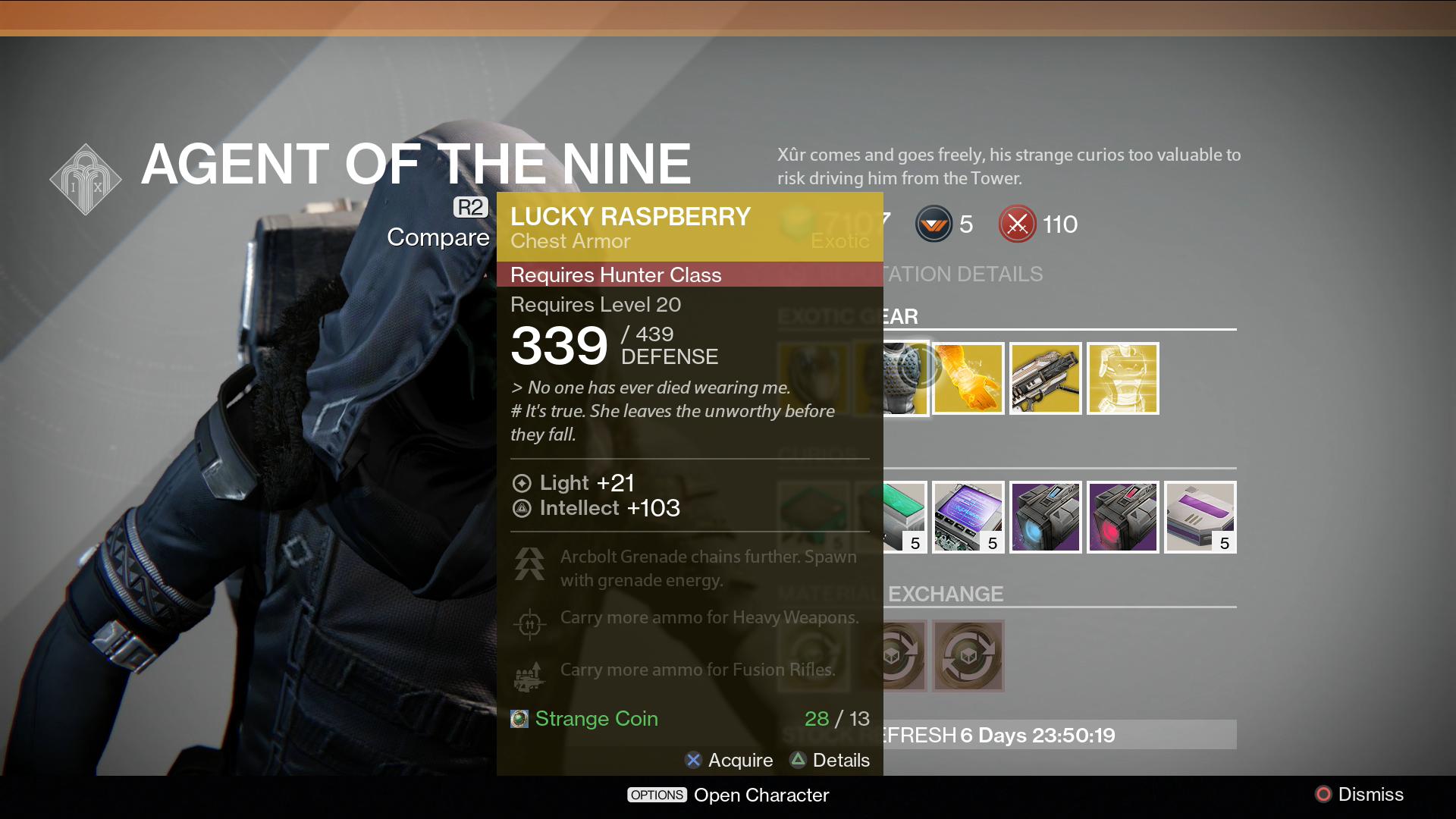 Lucky Raspberry Chest Armor (Hunter)