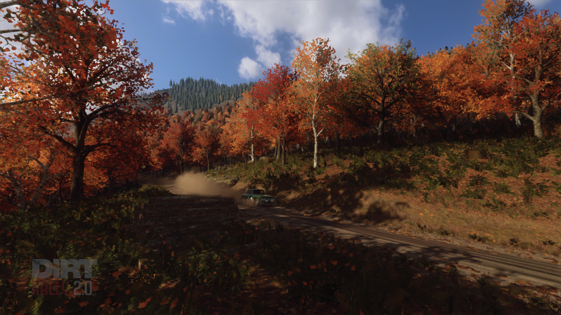 DiRT Rally 2.0 Review #14
