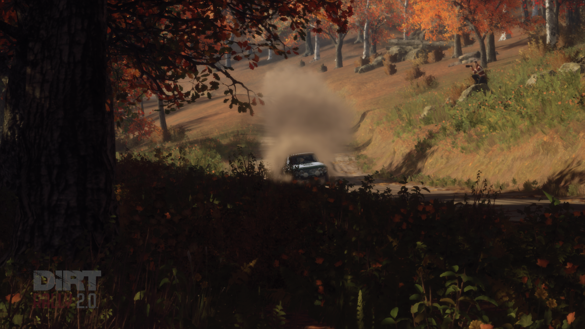 DiRT Rally 2.0 Review #15