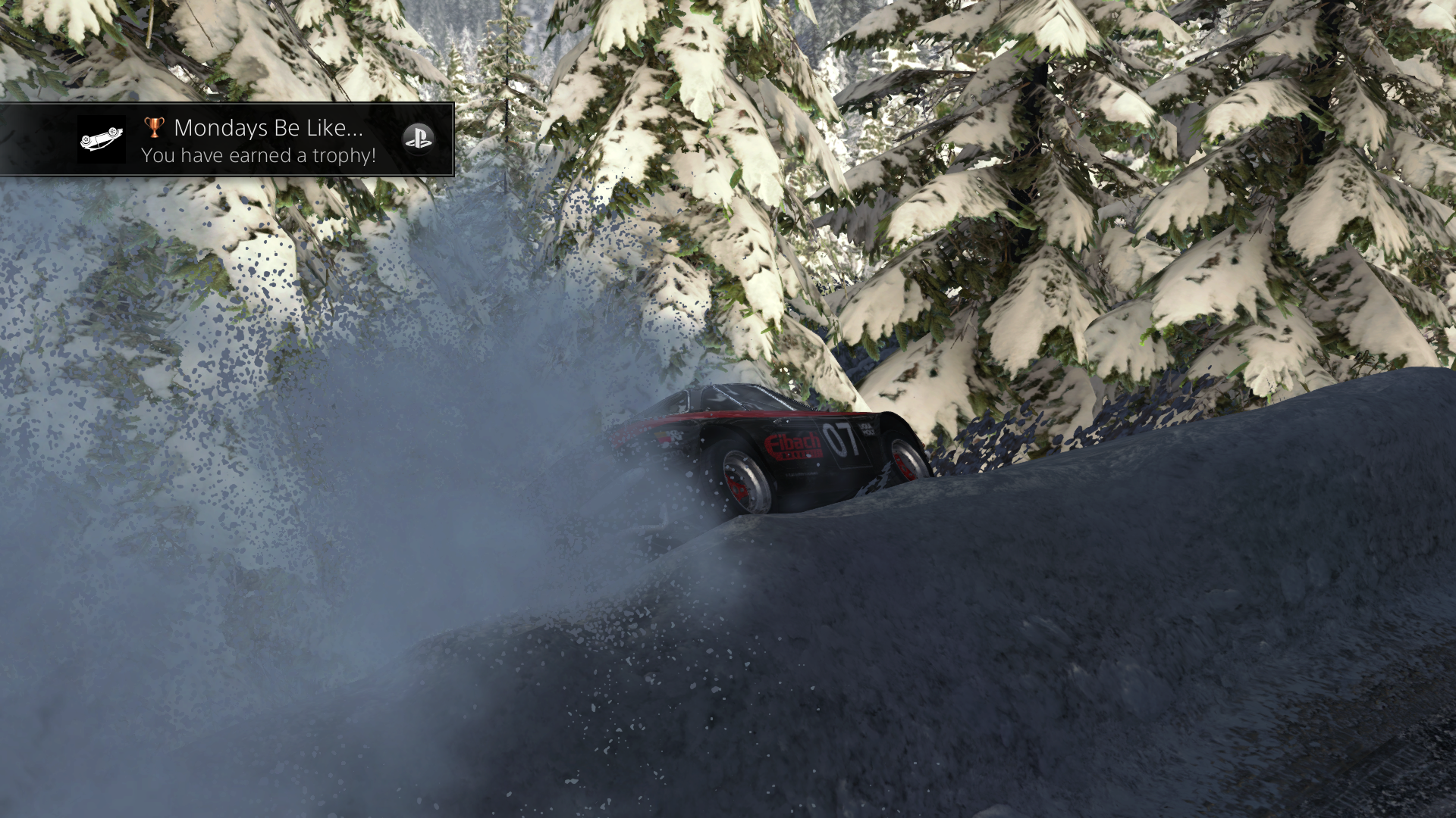 Dirt Rally Review 17