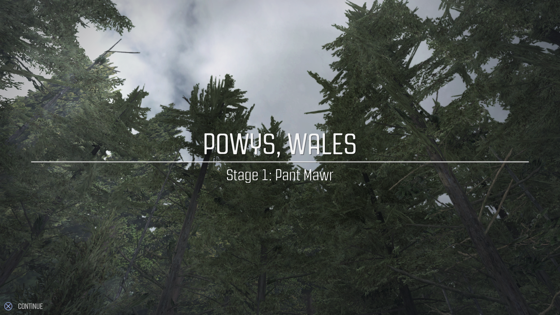 Dirt Rally Review 25