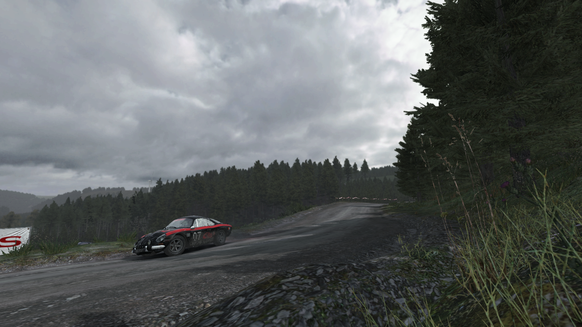 Dirt Rally Review 26