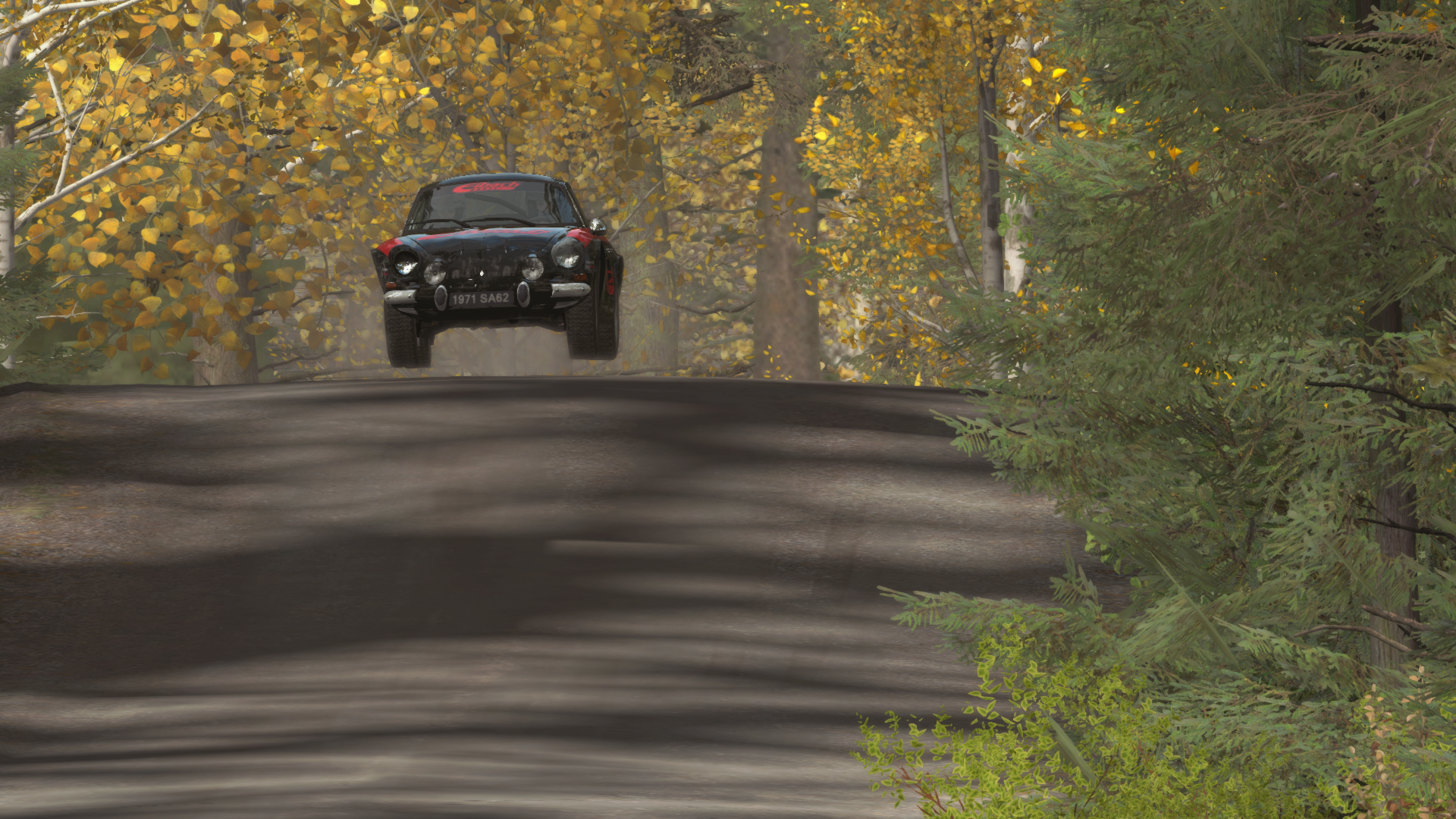 Dirt Rally Review 30