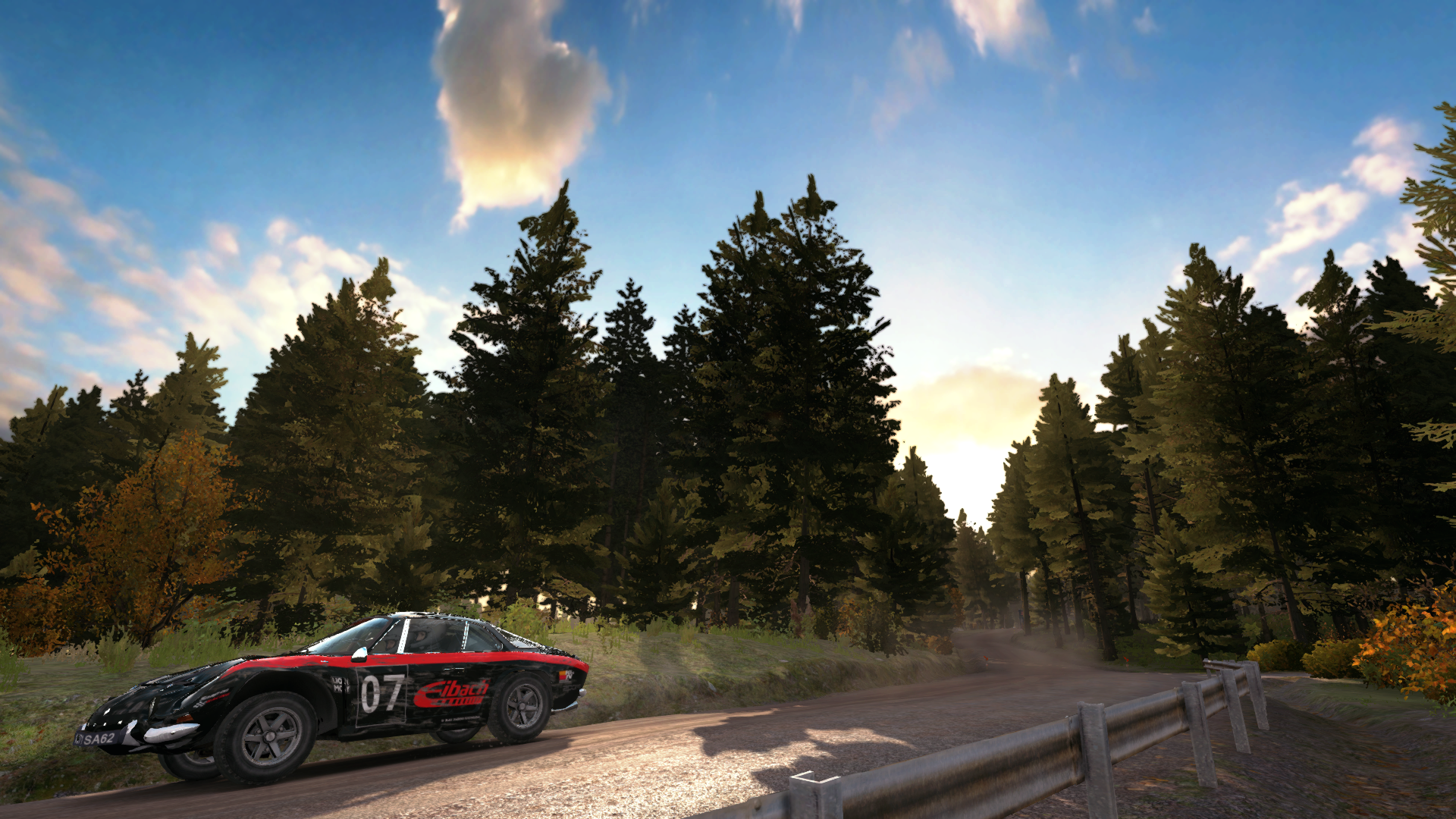Dirt Rally Review 32