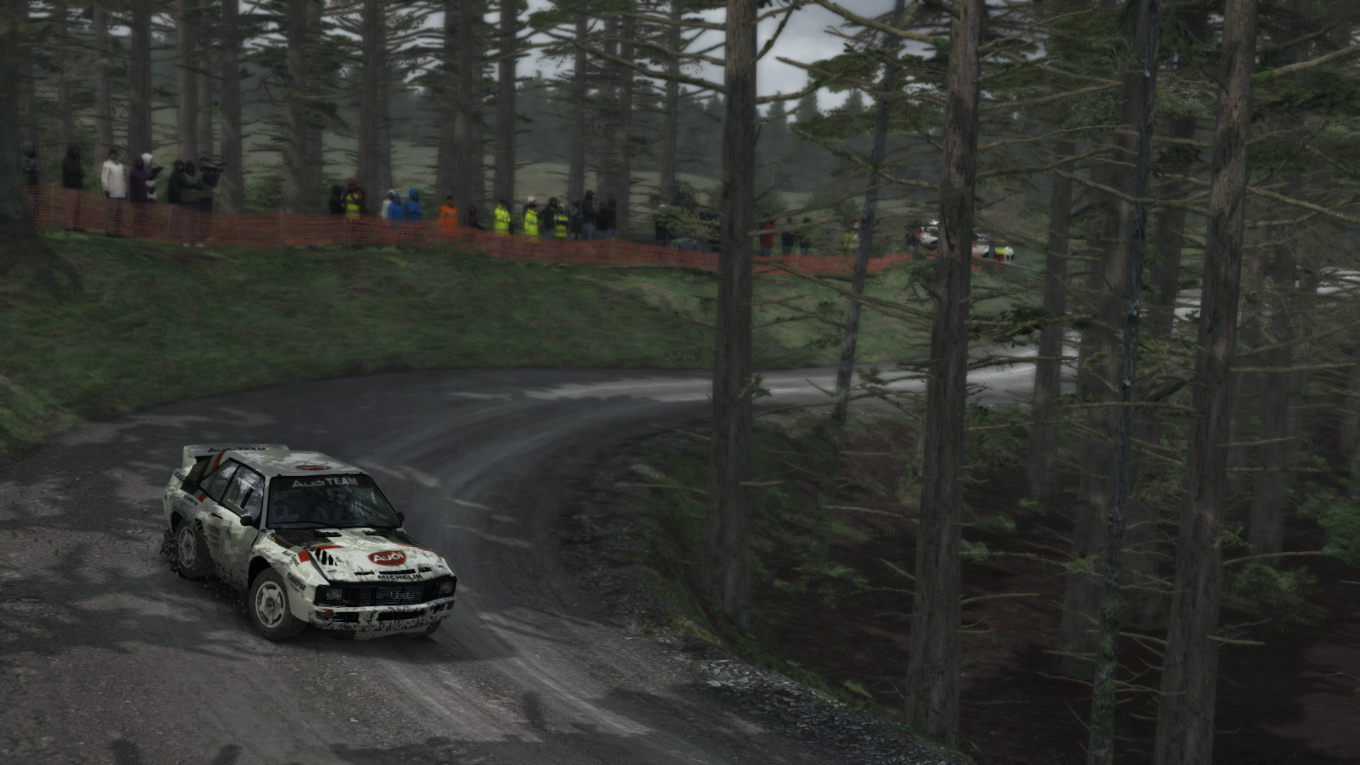 Dirt Rally Review 36