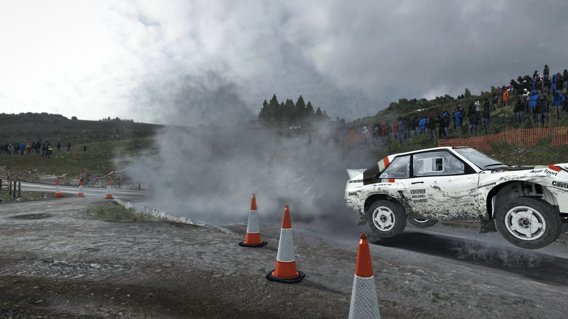 Dirt Rally Review 39