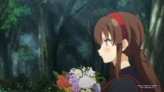 Senran Kagura ESTIVAL VERSUS