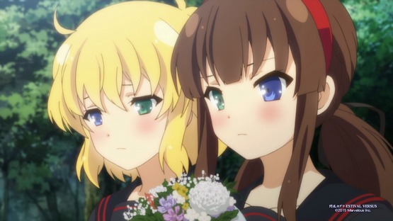 Senran Kagura ESTIVAL VERSUS