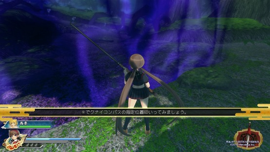 Senran Kagura ESTIVAL VERSUS