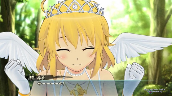 Senran Kagura ESTIVAL VERSUS