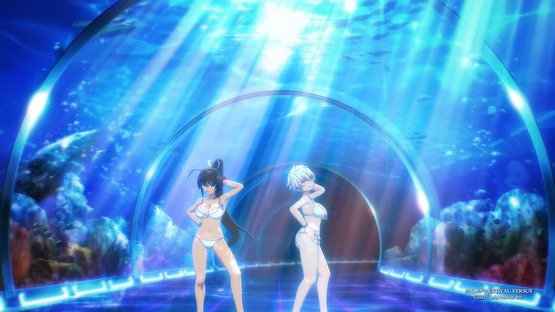 Senran Kagura ESTIVAL VERSUS