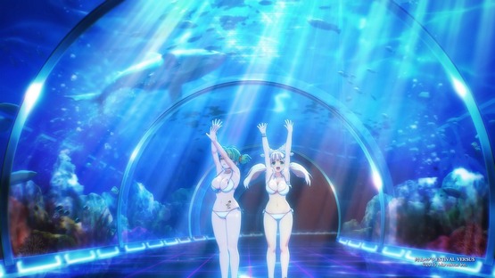 Senran Kagura ESTIVAL VERSUS