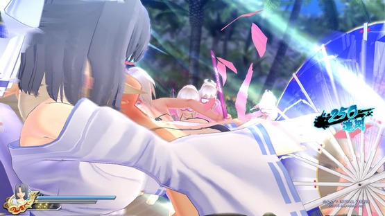 Senran Kagura ESTIVAL VERSUS