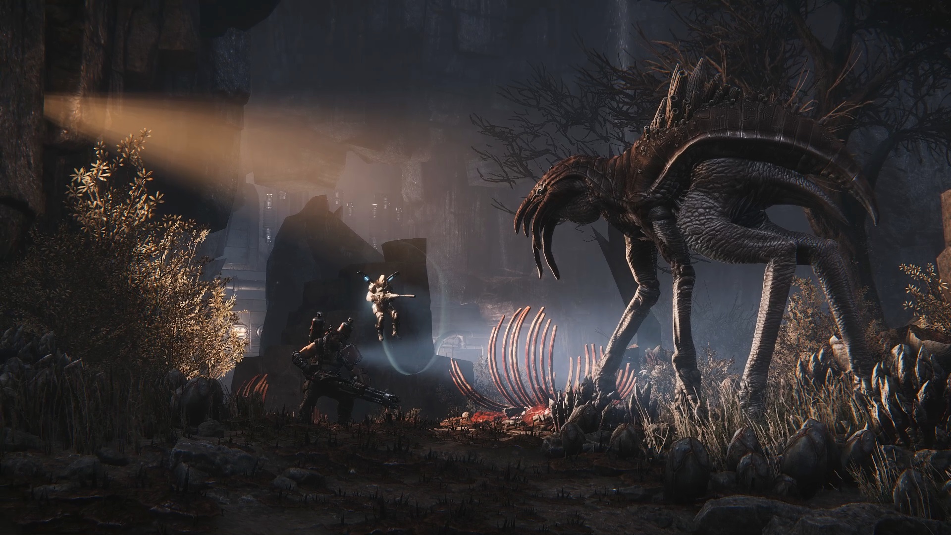 Take-Two CEO Thinks Evolve DLC Controversy is a "Good Thing"
