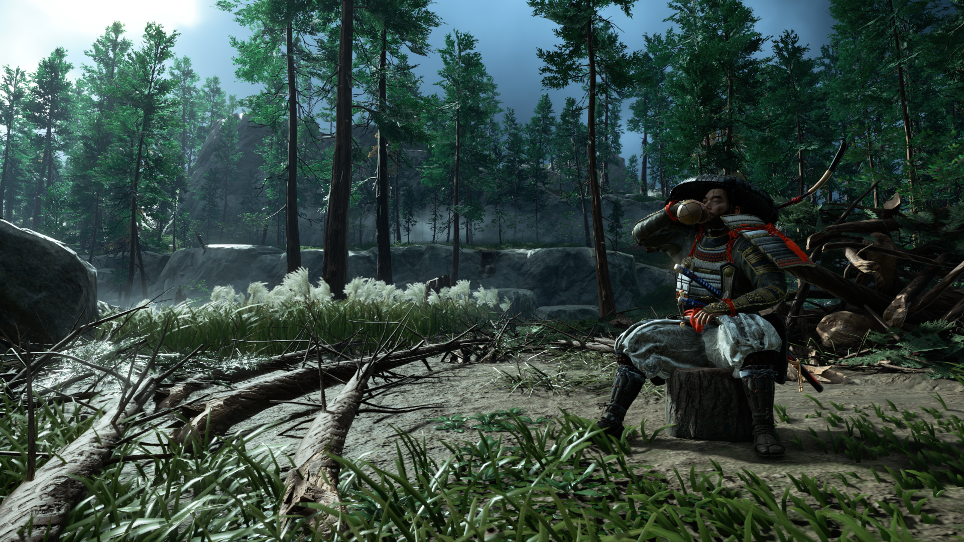 Ghost of Tsushima Review #17