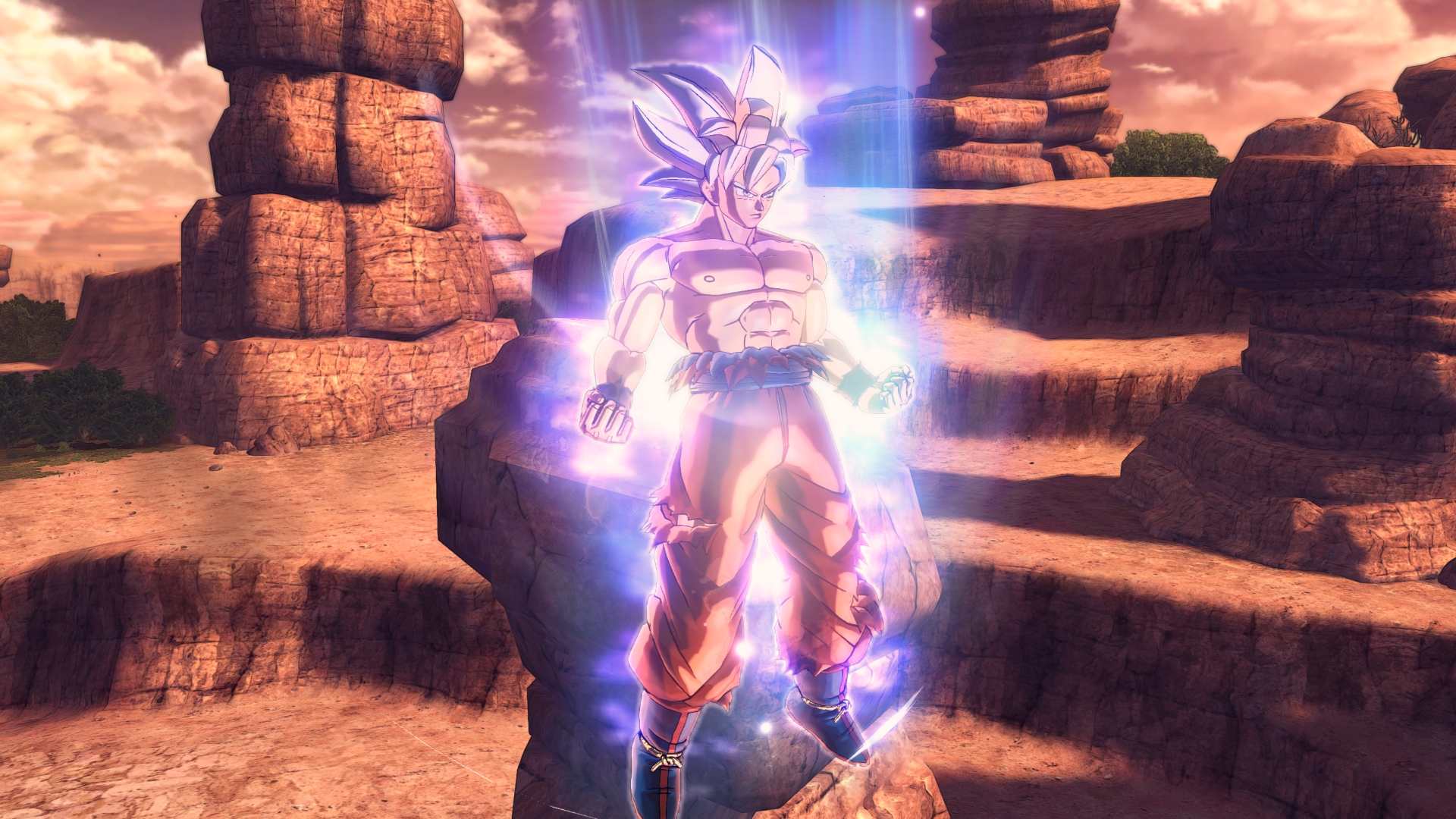 Perfected Ultra Instinct Goku 
