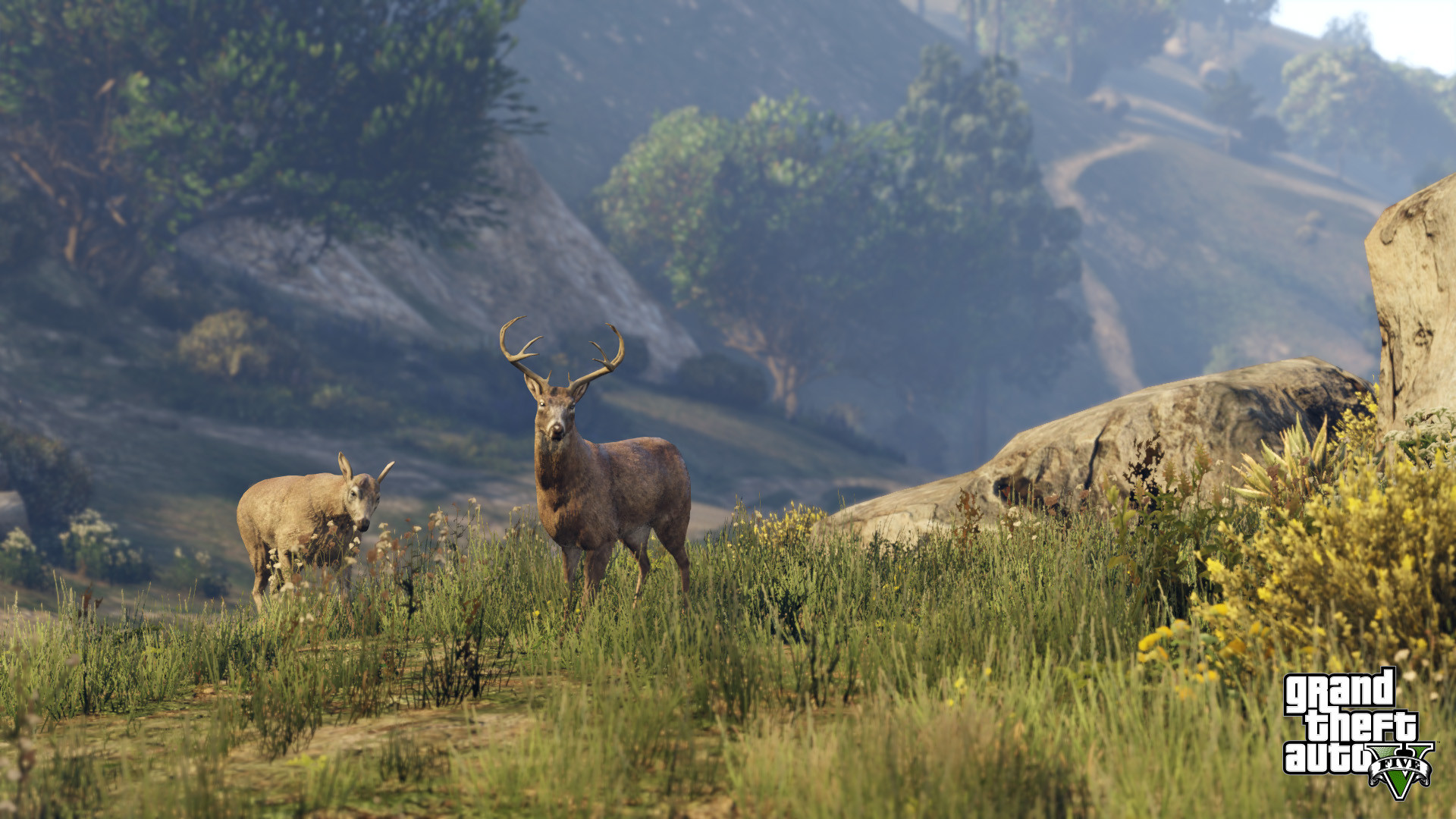 GTA V PS4 Screenshot