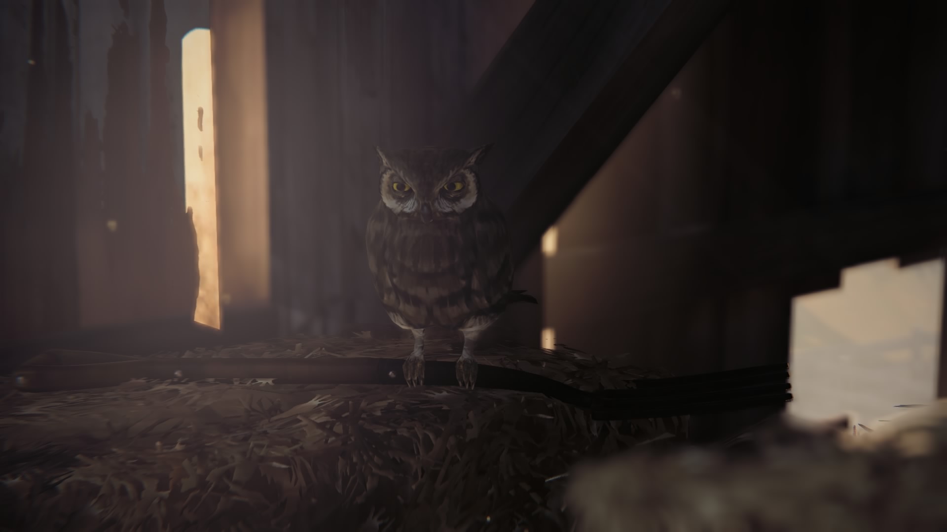 Life is Strange: Episode 4 Review Gallery