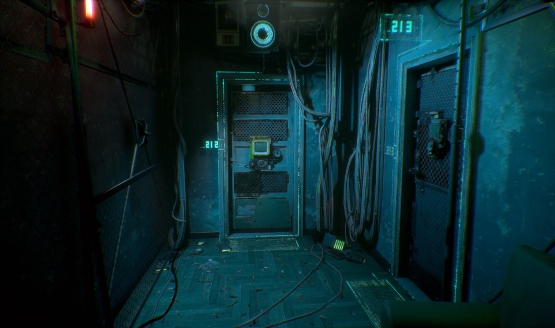 Observer Door