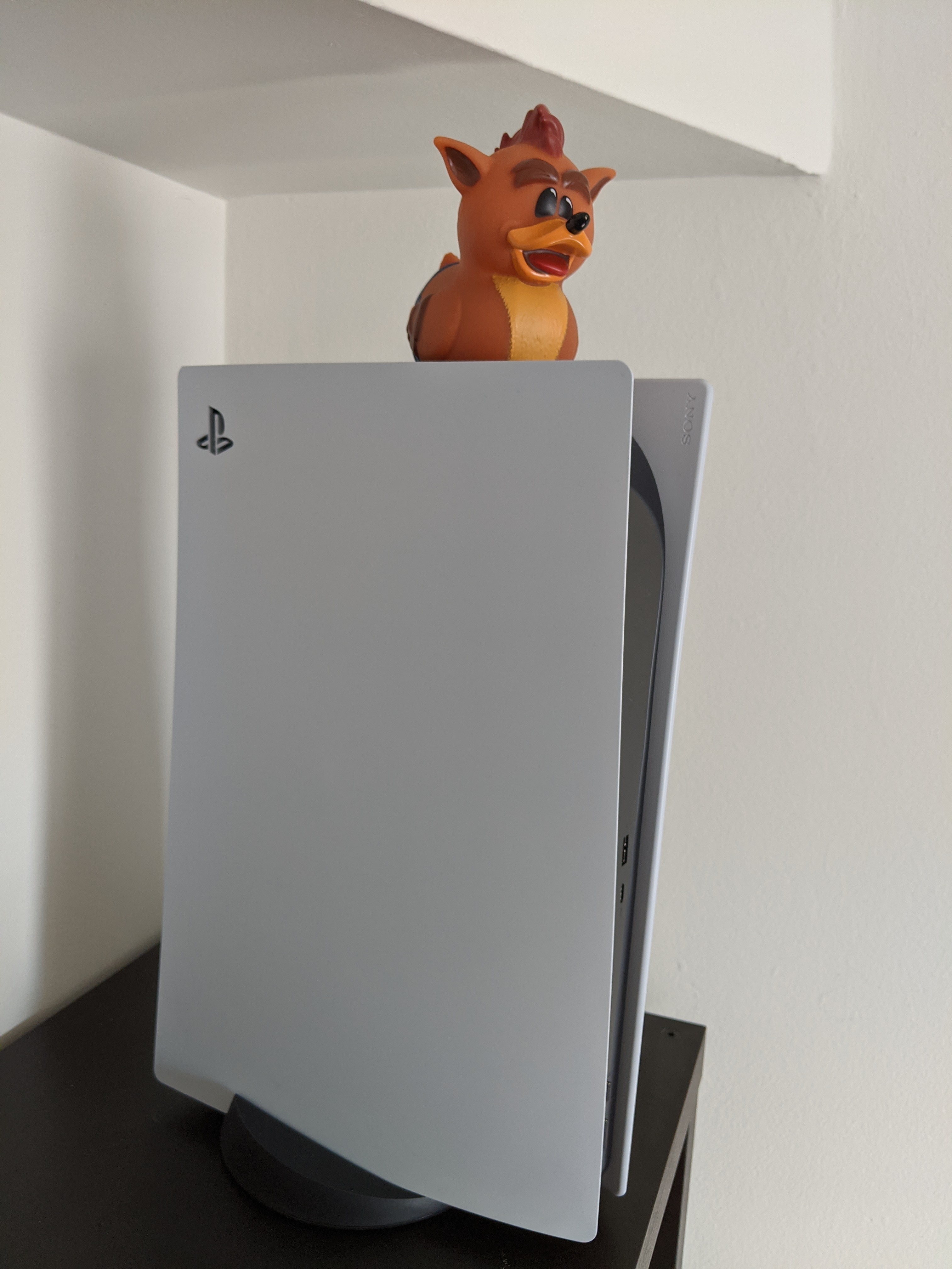 PS5 Next to a Crash Bandicoot Cosplaying Duck