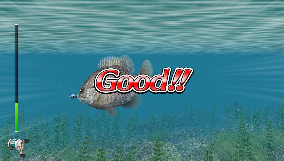 Reel Fishing: Master's Challenge