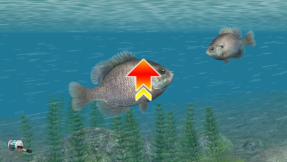 reel-fishing-masters-challenge-review-11Reel Fishing: Master's Challenge