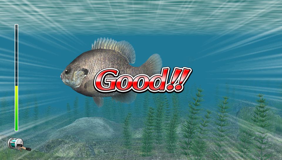 Reel Fishing: Master's Challenge