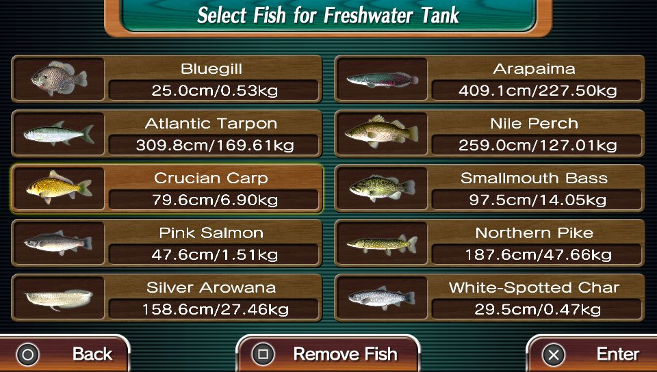 Reel Fishing: Master's Challenge