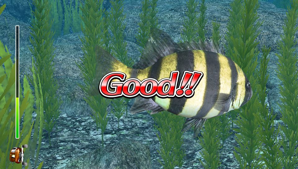 Reel Fishing: Master's Challenge