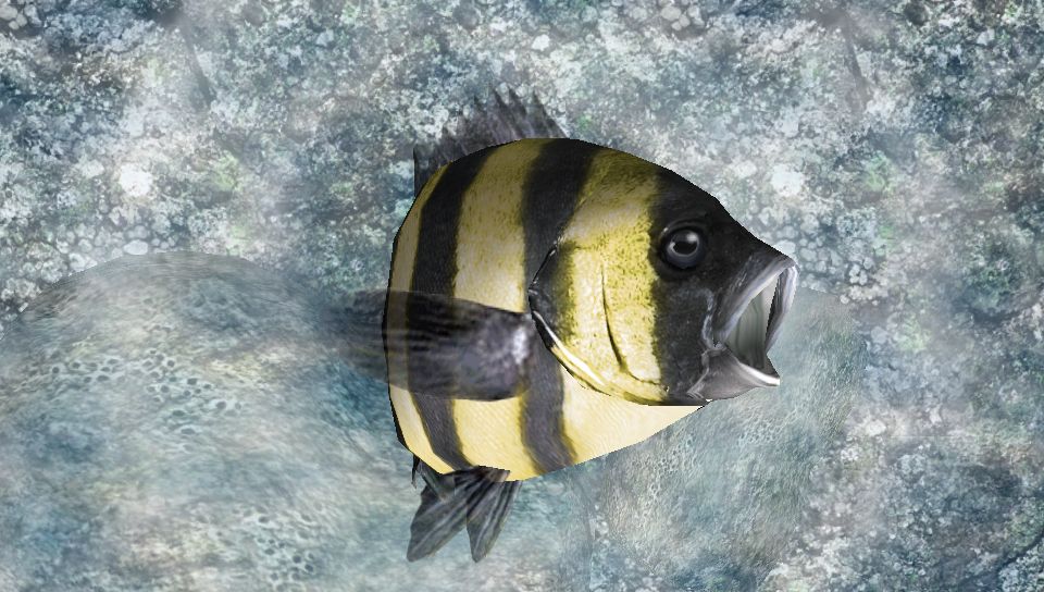 Reel Fishing: Master's Challenge