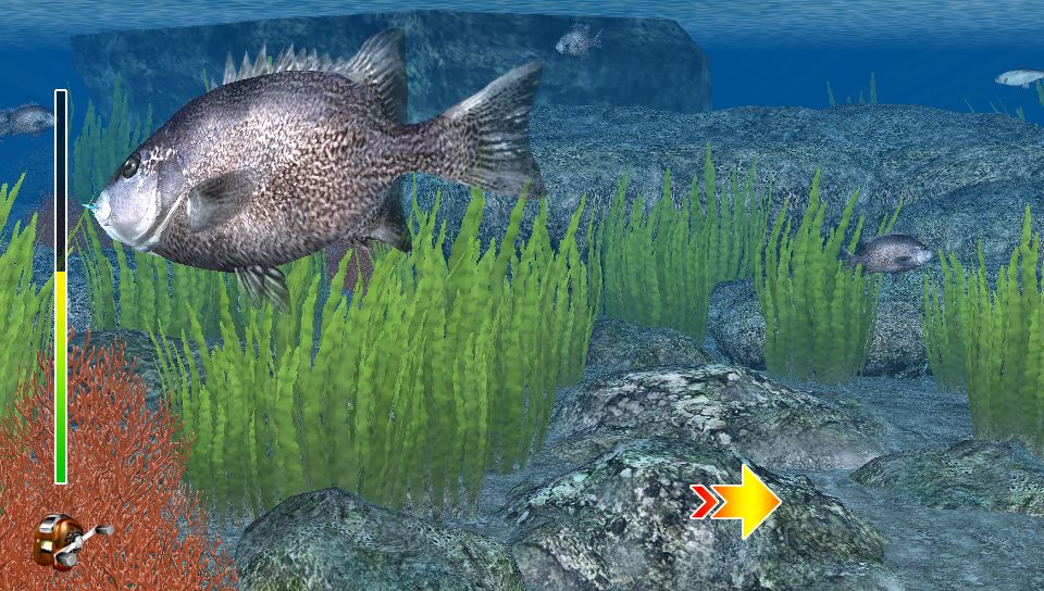 Reel Fishing: Master's Challenge