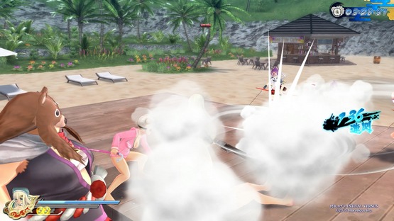 Senran Kagura ESTIVAL VERSUS