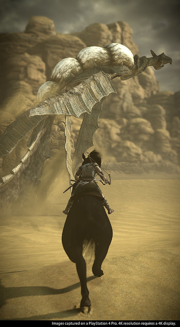 Shadow of the Colossus Photo Mode is Absolutely Stunning - MonsterVine