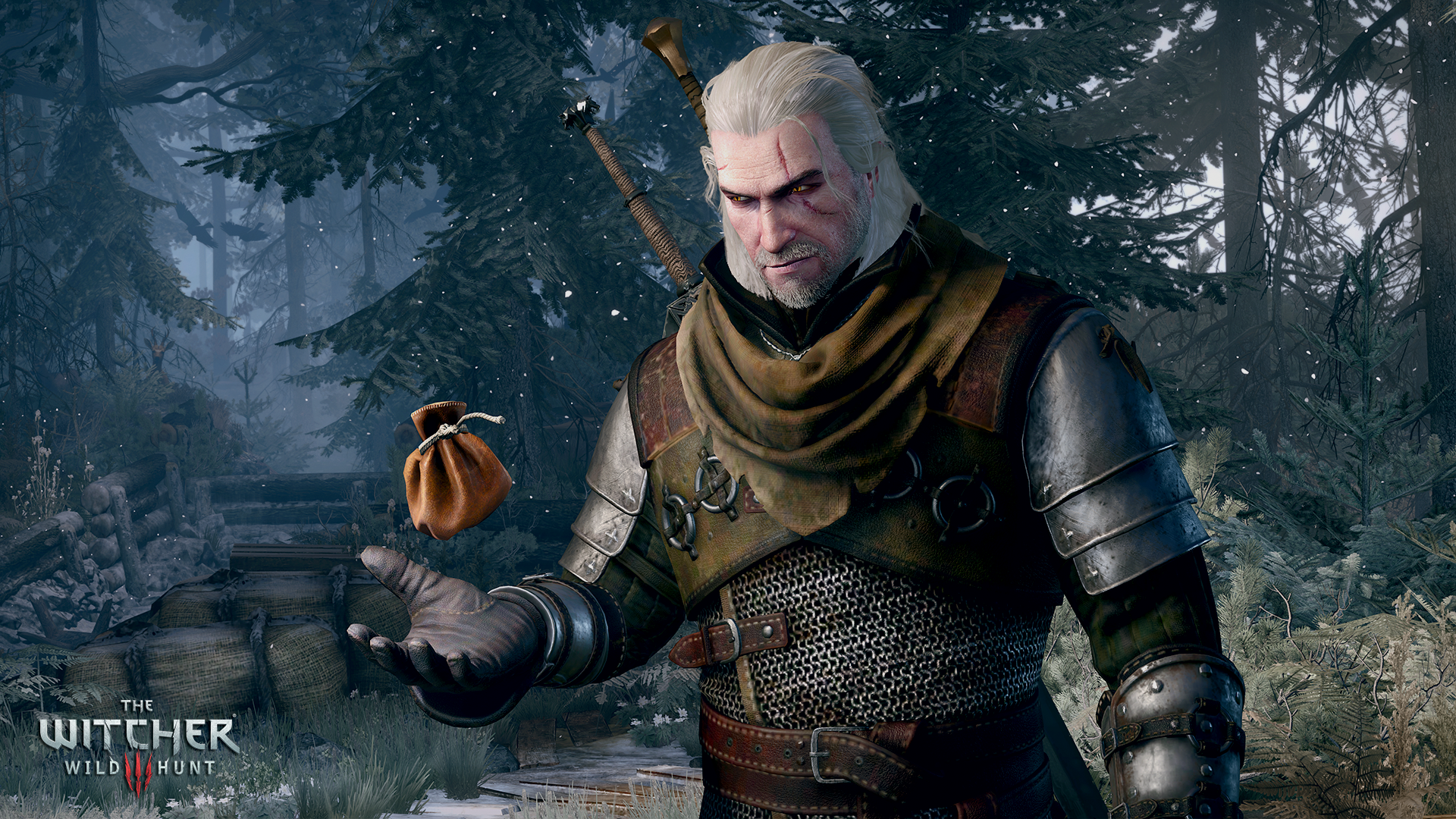 The_witcher_3_wild_hunt_getting_paid Best_part_of_the_job