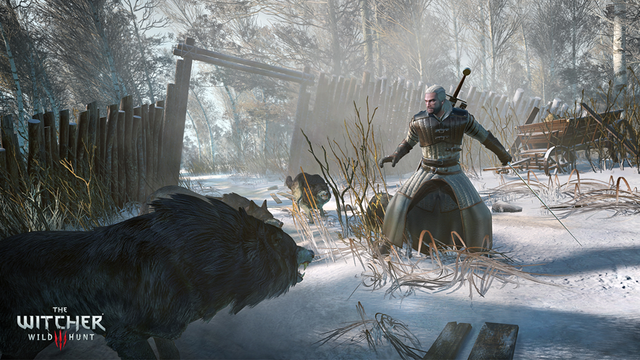 The Witcher 3 Wild Hunt Screenshot