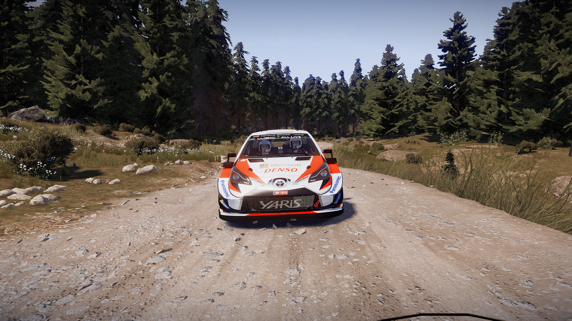 WRC 8 Review #2