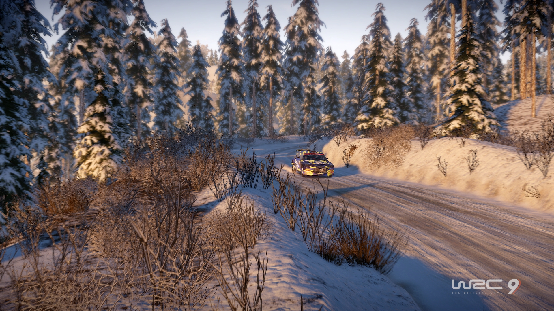 WRC 9 Review #17