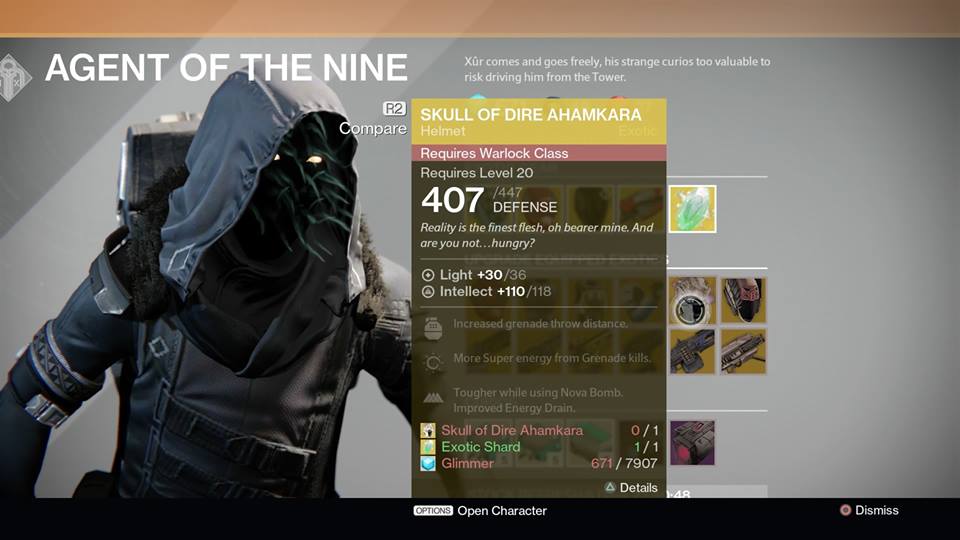 Skull of Dire Ahamkara