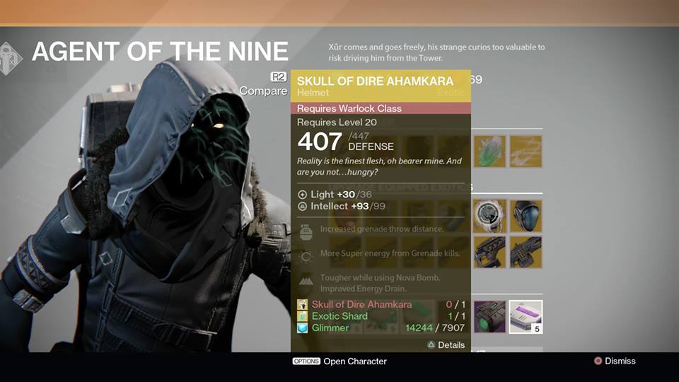 Skull of Dire Ahamkara